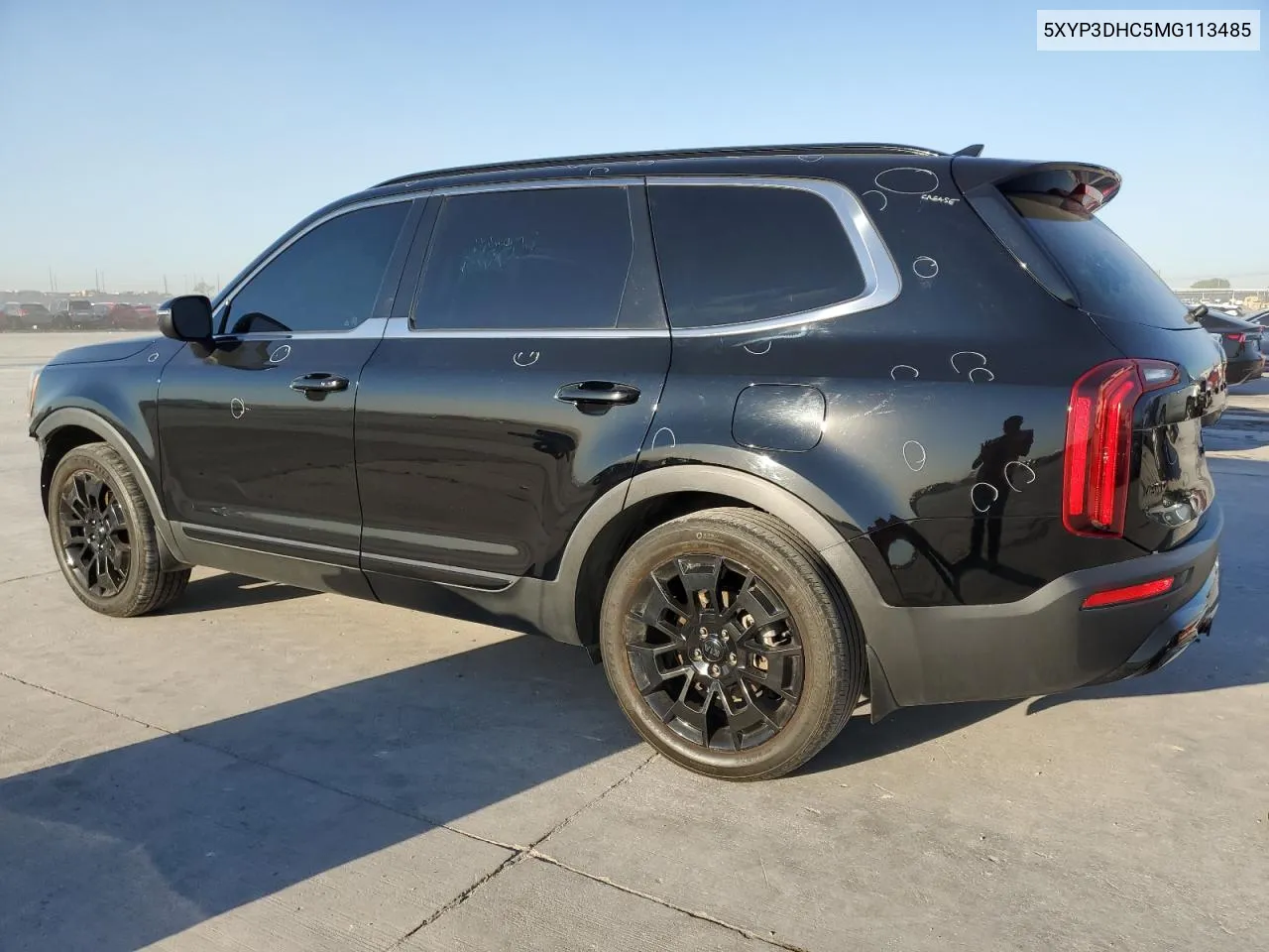 2021 Kia Telluride Ex VIN: 5XYP3DHC5MG113485 Lot: 73217414