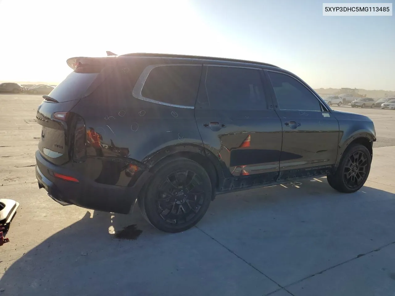 2021 Kia Telluride Ex VIN: 5XYP3DHC5MG113485 Lot: 73217414