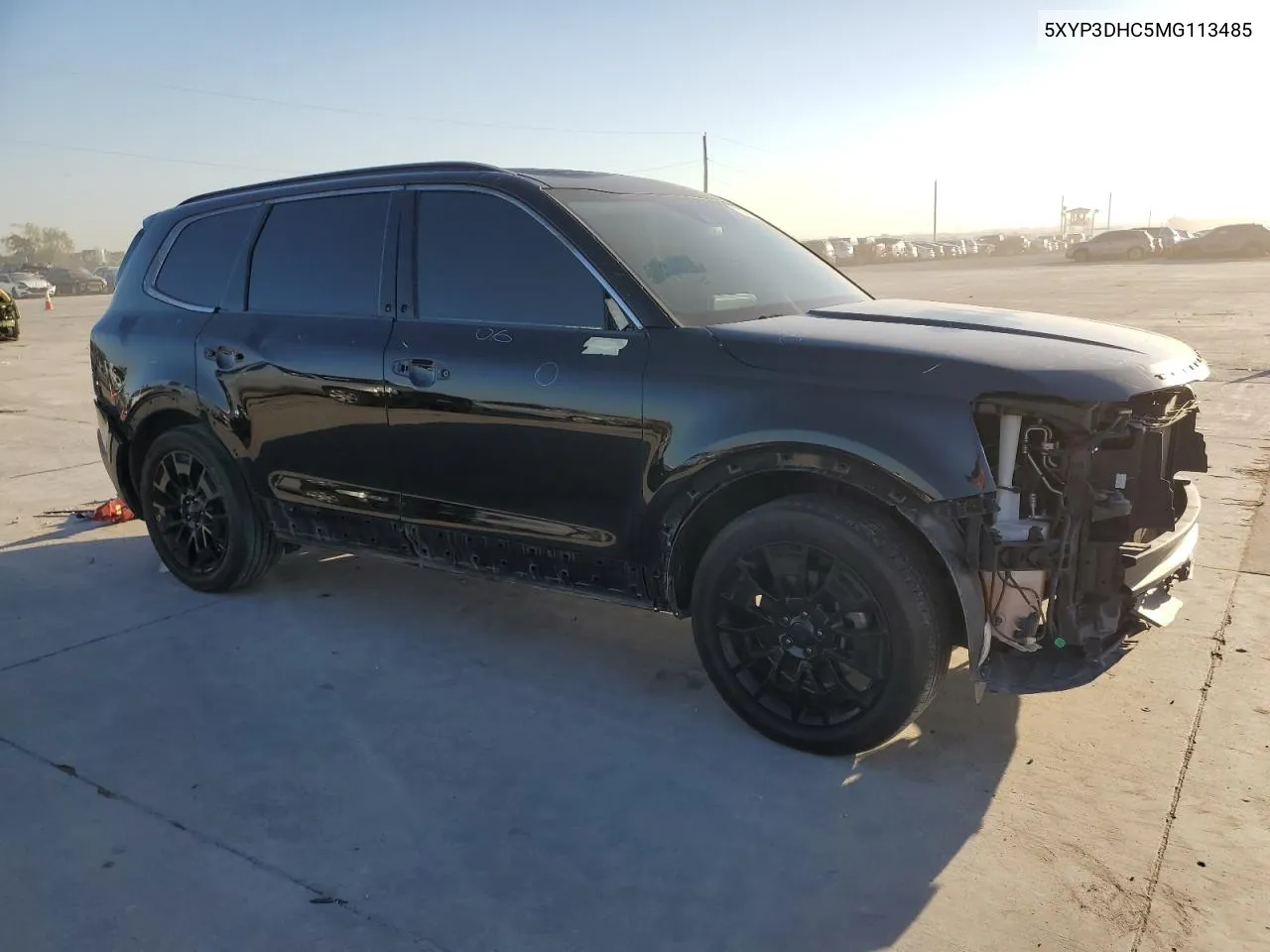 2021 Kia Telluride Ex VIN: 5XYP3DHC5MG113485 Lot: 73217414