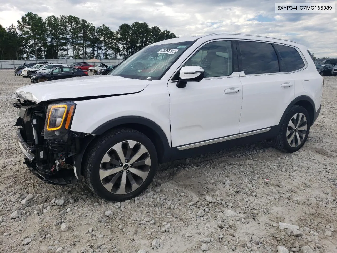 2021 Kia Telluride Ex VIN: 5XYP34HC7MG165989 Lot: 73565144