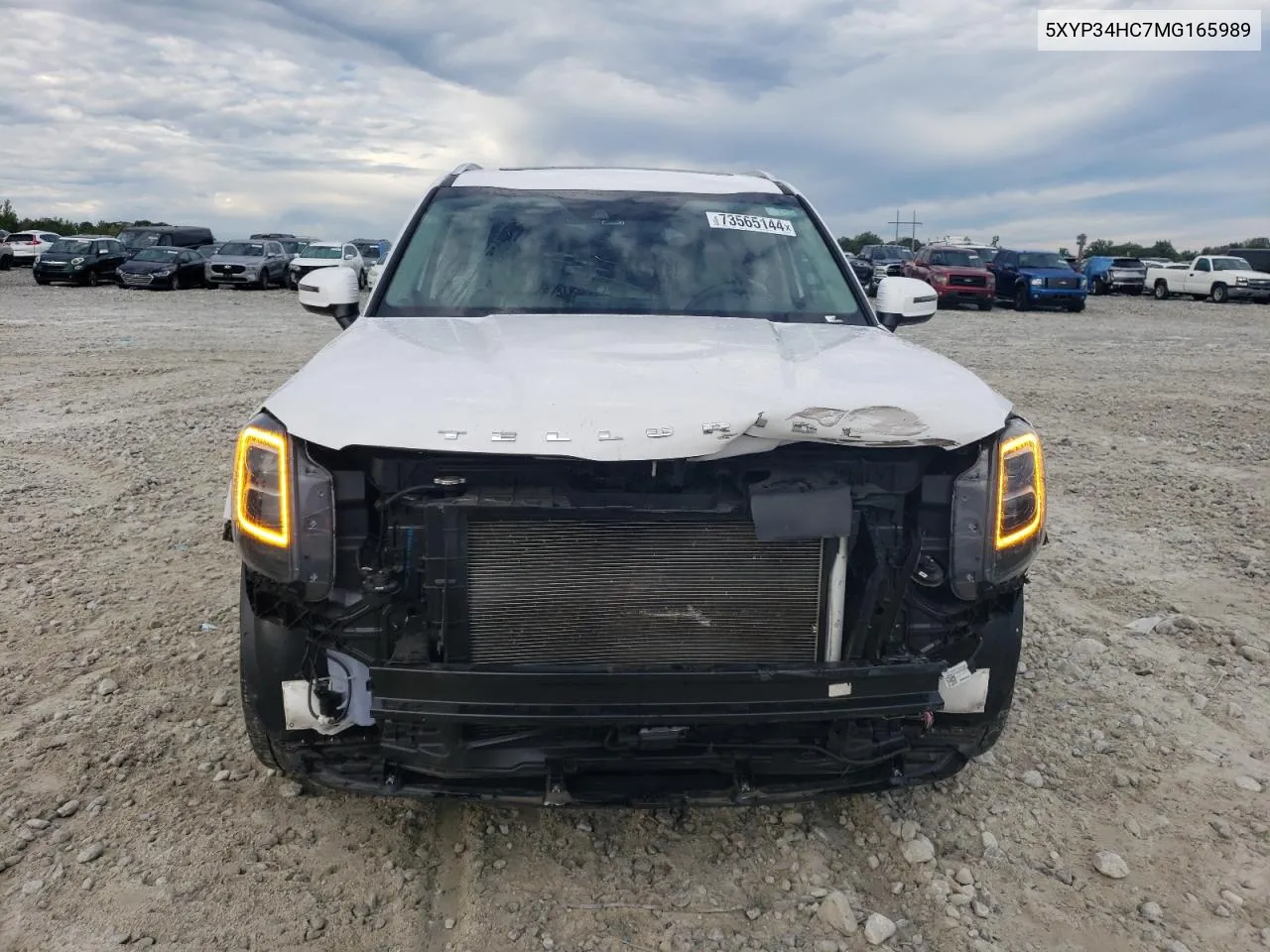 2021 Kia Telluride Ex VIN: 5XYP34HC7MG165989 Lot: 73565144