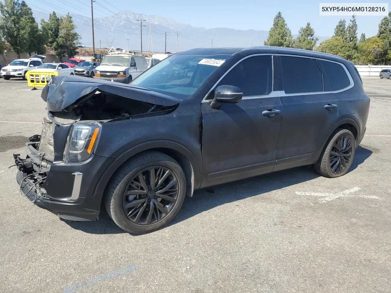 2021 Kia Telluride Sx VIN: 5XYP54HC6MG128216 Lot: 73602554