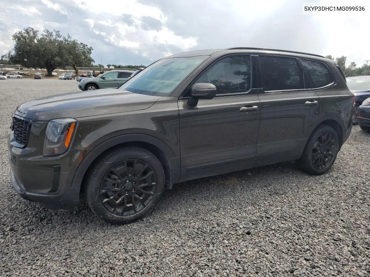 2021 Kia Telluride Ex VIN: 5XYP3DHC1MG099536 Lot: 73933254