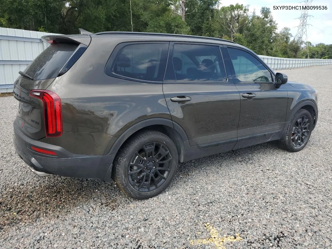 2021 Kia Telluride Ex VIN: 5XYP3DHC1MG099536 Lot: 73933254