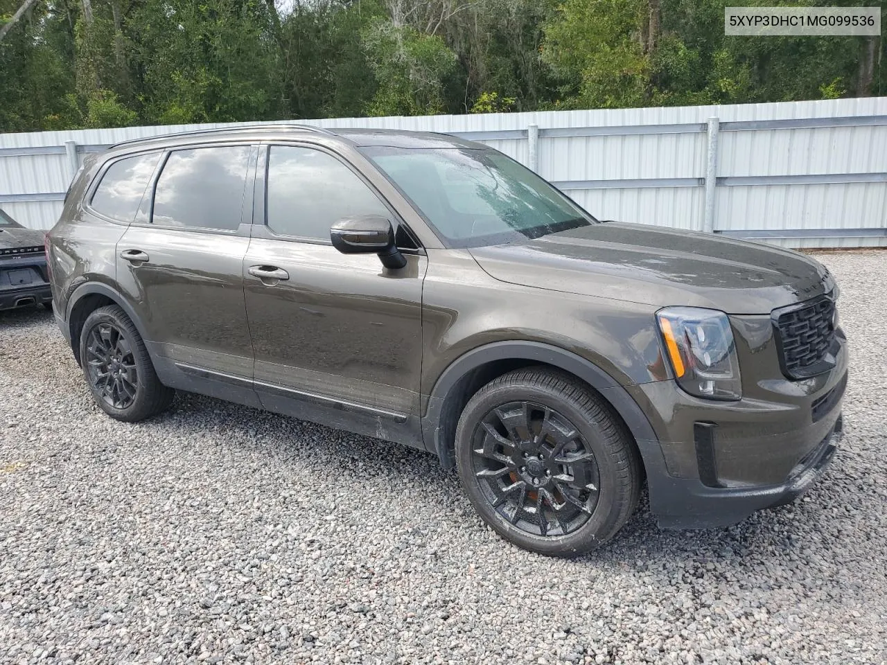 2021 Kia Telluride Ex VIN: 5XYP3DHC1MG099536 Lot: 73933254