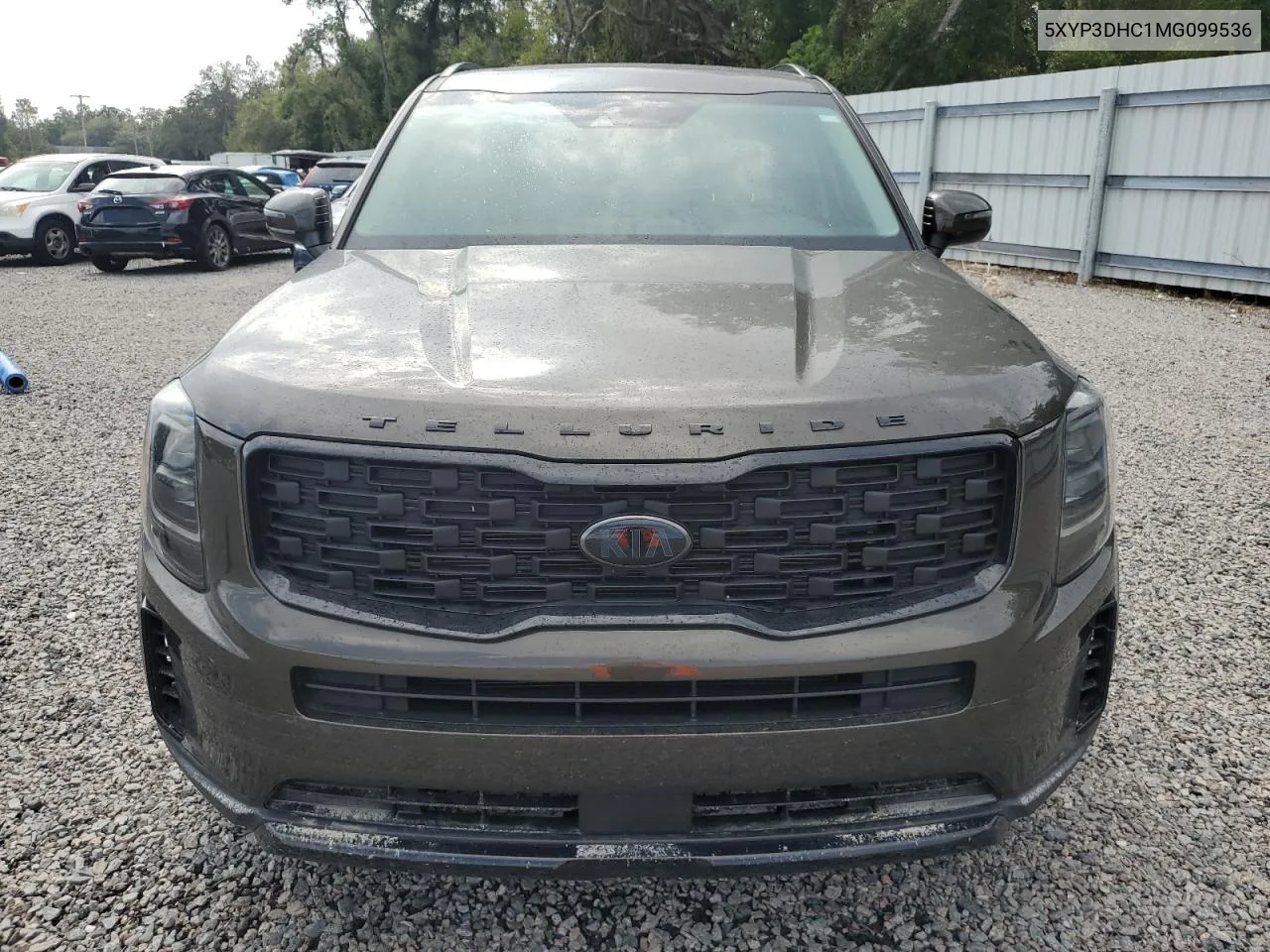 2021 Kia Telluride Ex VIN: 5XYP3DHC1MG099536 Lot: 73933254