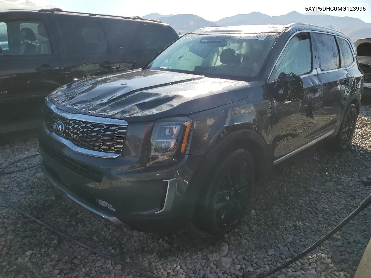 2021 Kia Telluride Sx VIN: 5XYP5DHC0MG123996 Lot: 74525804