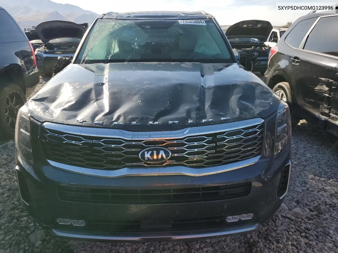 2021 Kia Telluride Sx VIN: 5XYP5DHC0MG123996 Lot: 74525804