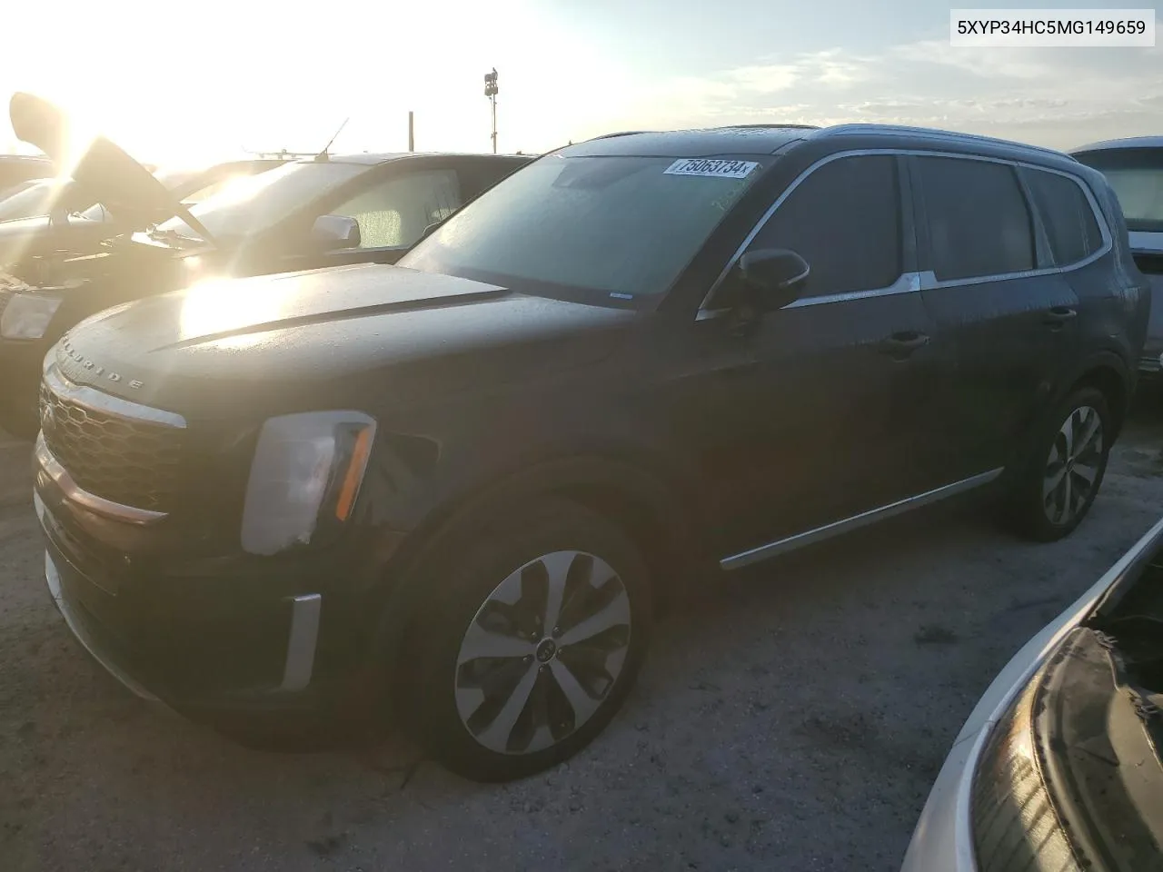 2021 Kia Telluride Ex VIN: 5XYP34HC5MG149659 Lot: 75063734