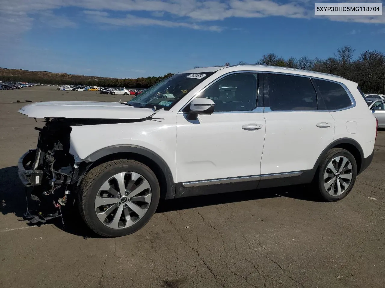 2021 Kia Telluride Ex VIN: 5XYP3DHC5MG118704 Lot: 75225374