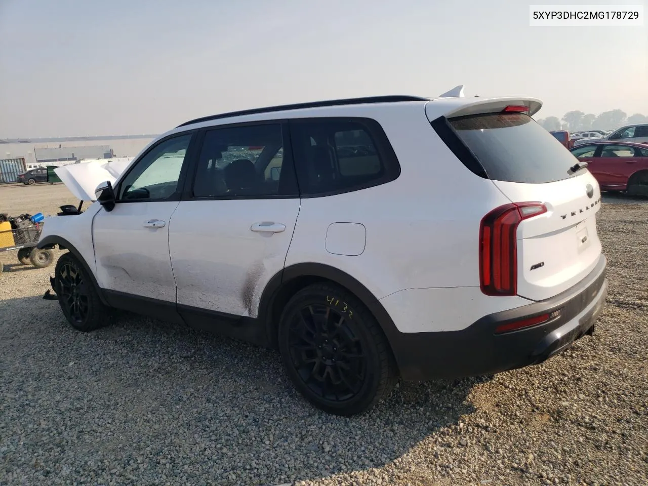 2021 Kia Telluride Ex VIN: 5XYP3DHC2MG178729 Lot: 75281184