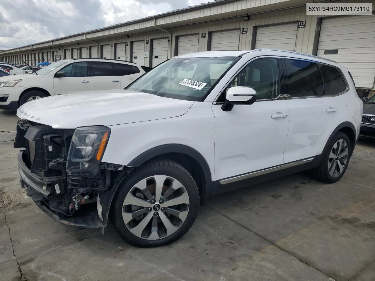 2021 Kia Telluride Ex VIN: 5XYP34HC9MG173110 Lot: 75795524