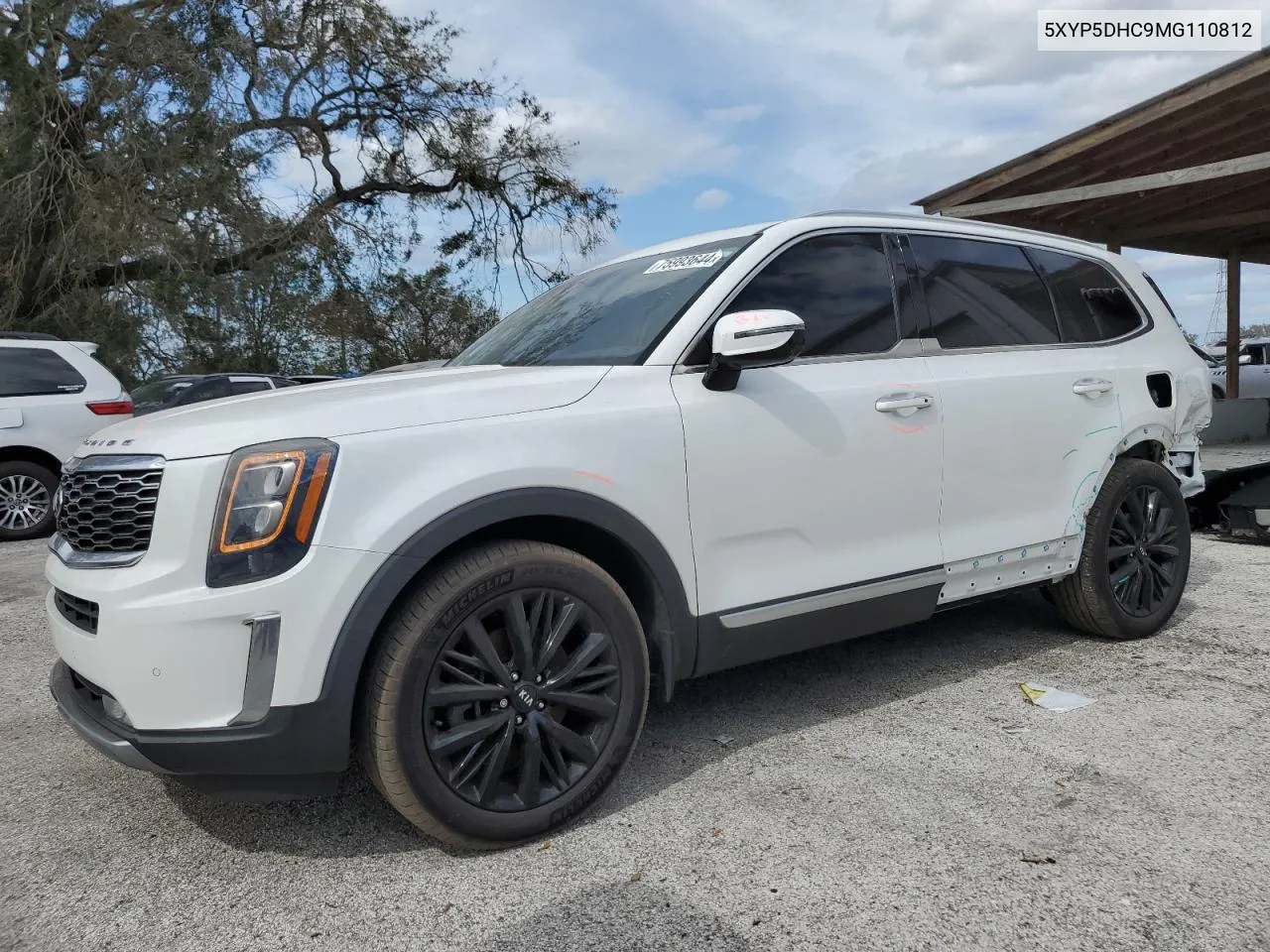 2021 Kia Telluride Sx VIN: 5XYP5DHC9MG110812 Lot: 75993644