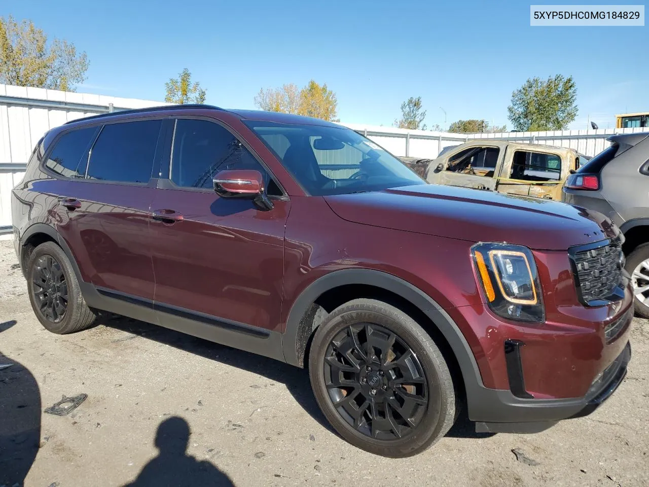 2021 Kia Telluride Sx VIN: 5XYP5DHC0MG184829 Lot: 76087684