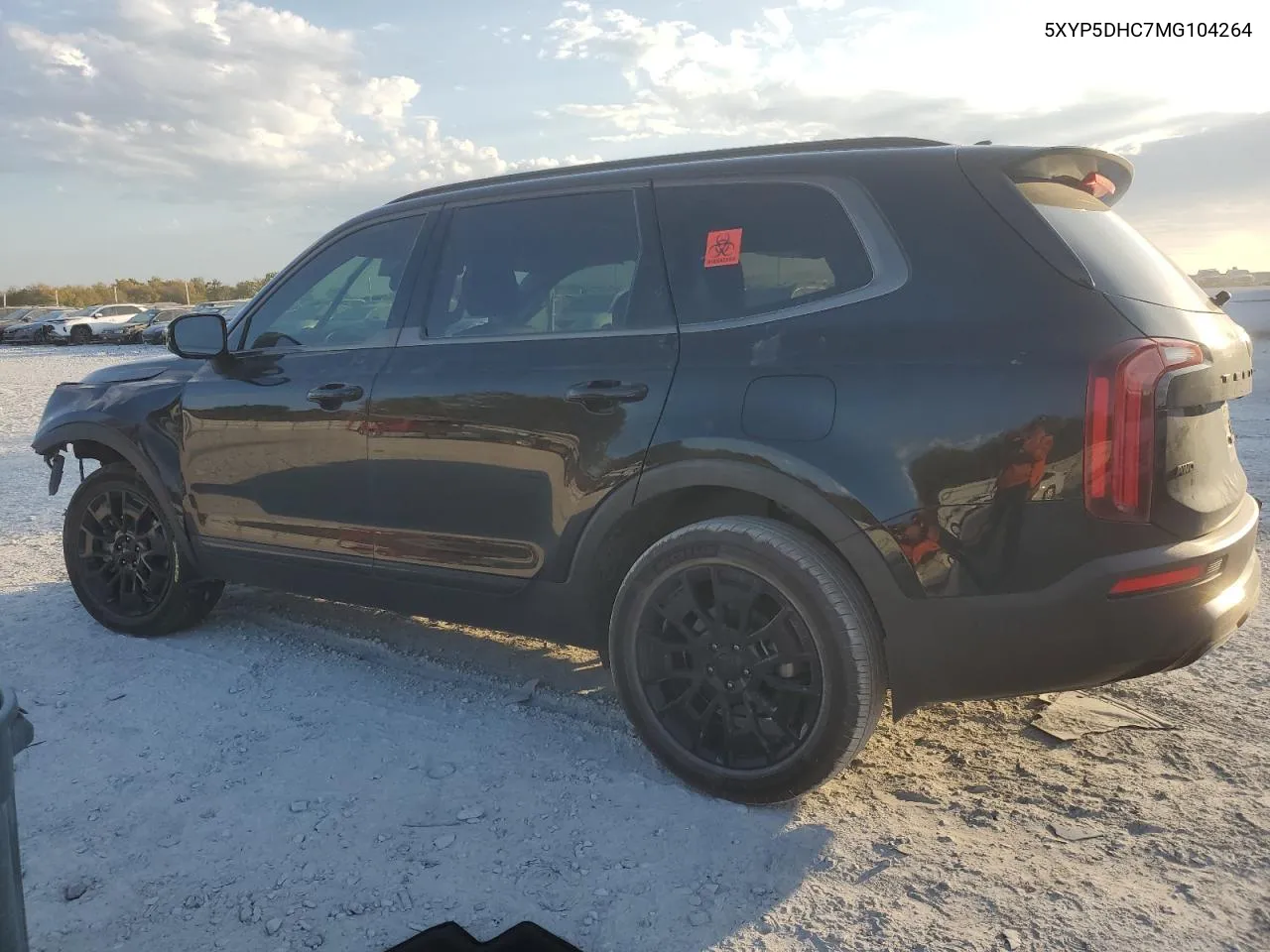 2021 Kia Telluride Sx VIN: 5XYP5DHC7MG104264 Lot: 76877114