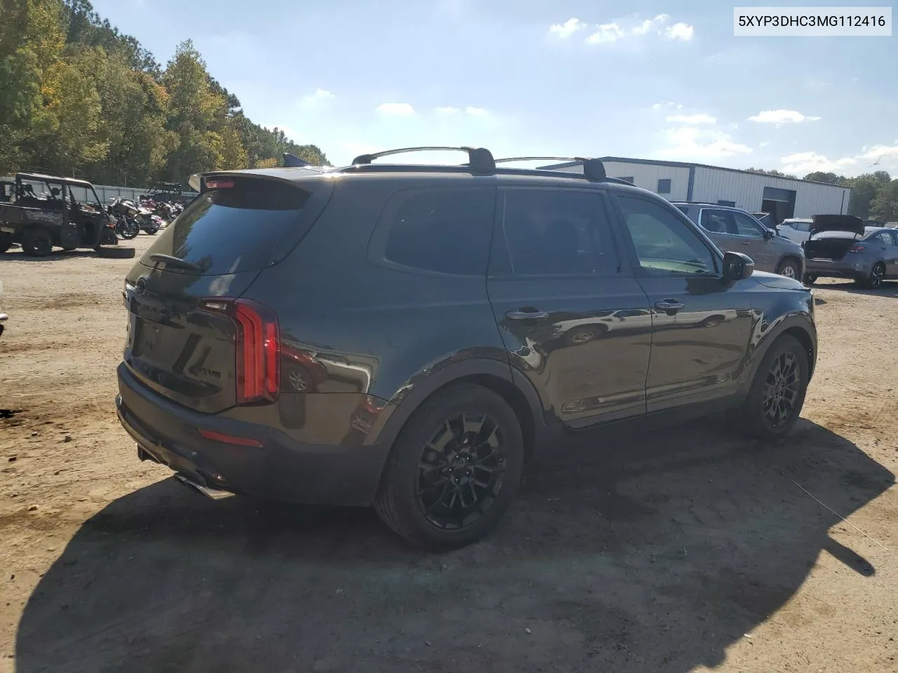 2021 Kia Telluride Ex VIN: 5XYP3DHC3MG112416 Lot: 77962934