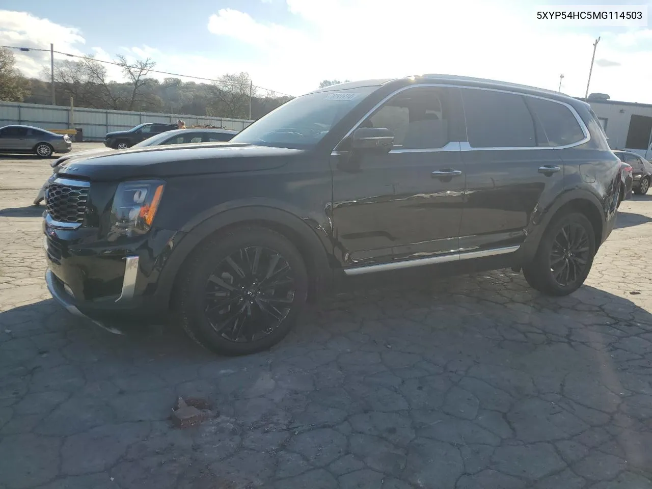 2021 Kia Telluride Sx VIN: 5XYP54HC5MG114503 Lot: 78741414