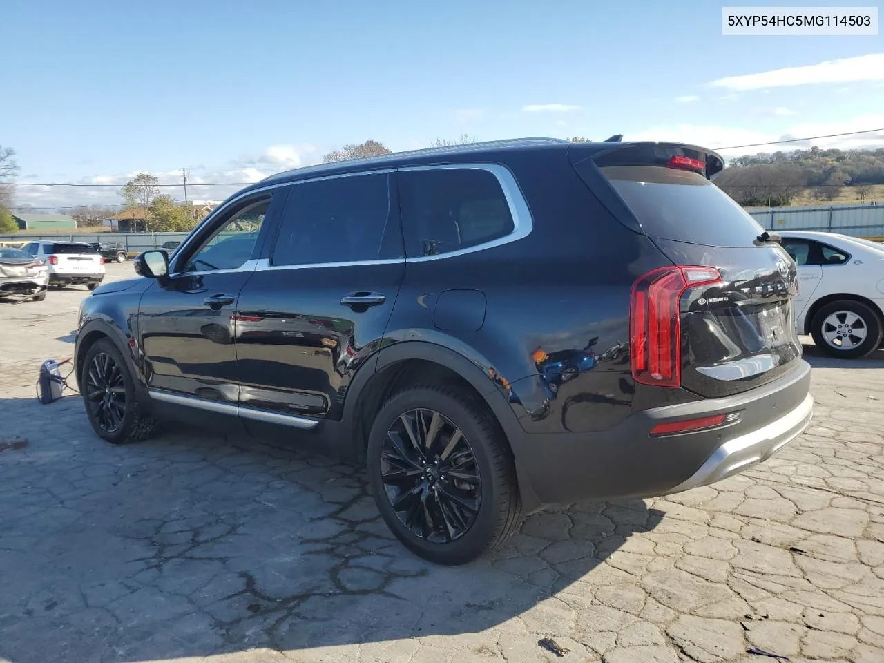 2021 Kia Telluride Sx VIN: 5XYP54HC5MG114503 Lot: 78741414