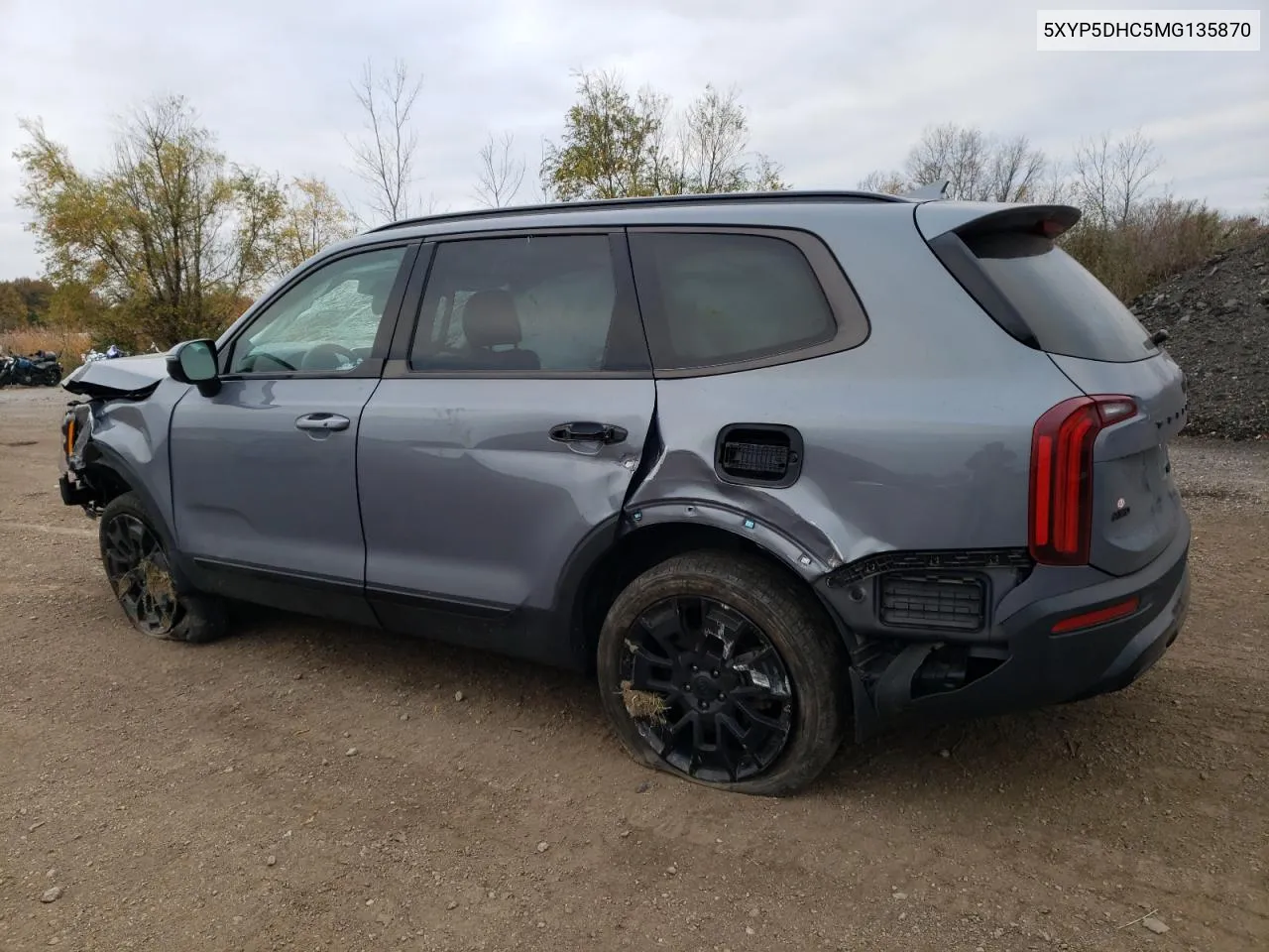 2021 Kia Telluride Sx VIN: 5XYP5DHC5MG135870 Lot: 78858404