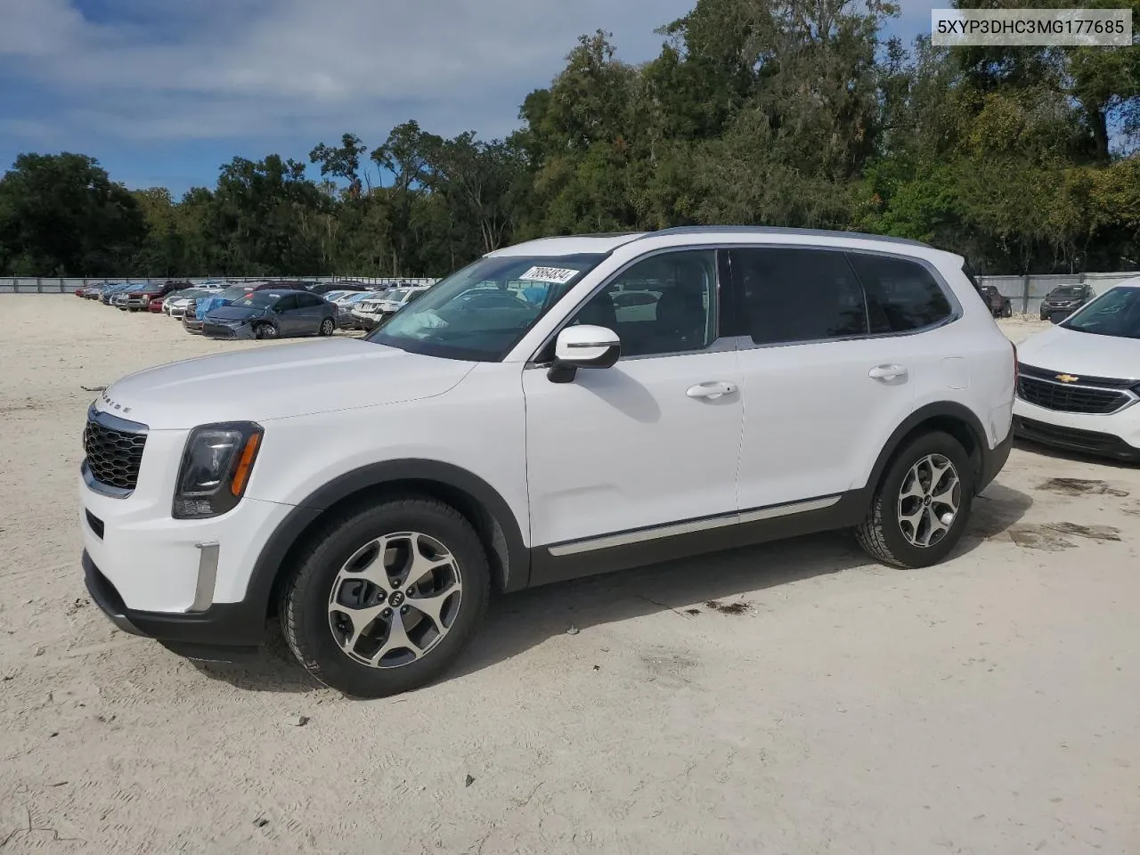 2021 Kia Telluride Ex VIN: 5XYP3DHC3MG177685 Lot: 78864834