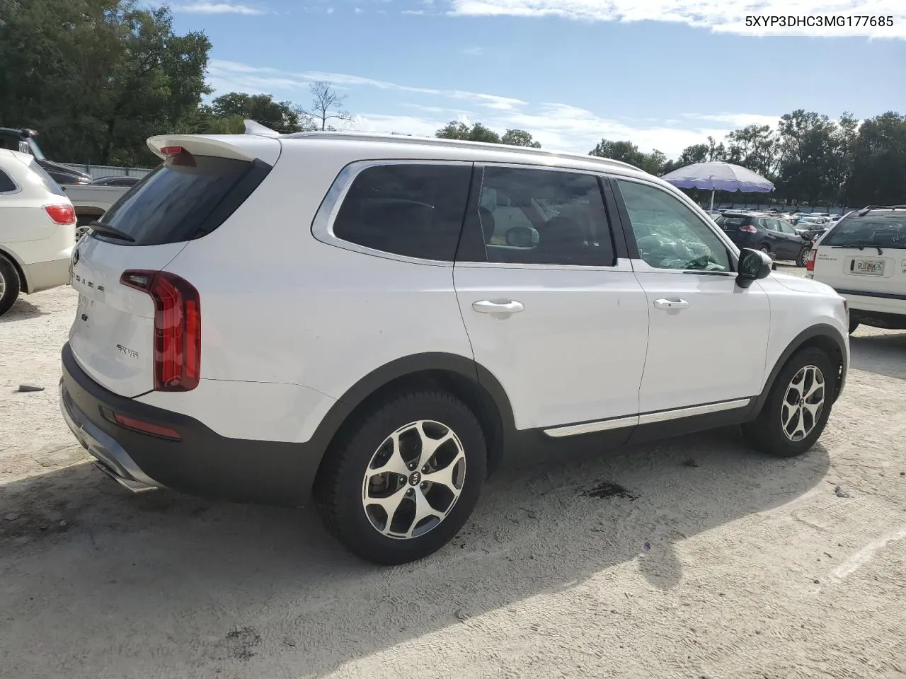 2021 Kia Telluride Ex VIN: 5XYP3DHC3MG177685 Lot: 78864834