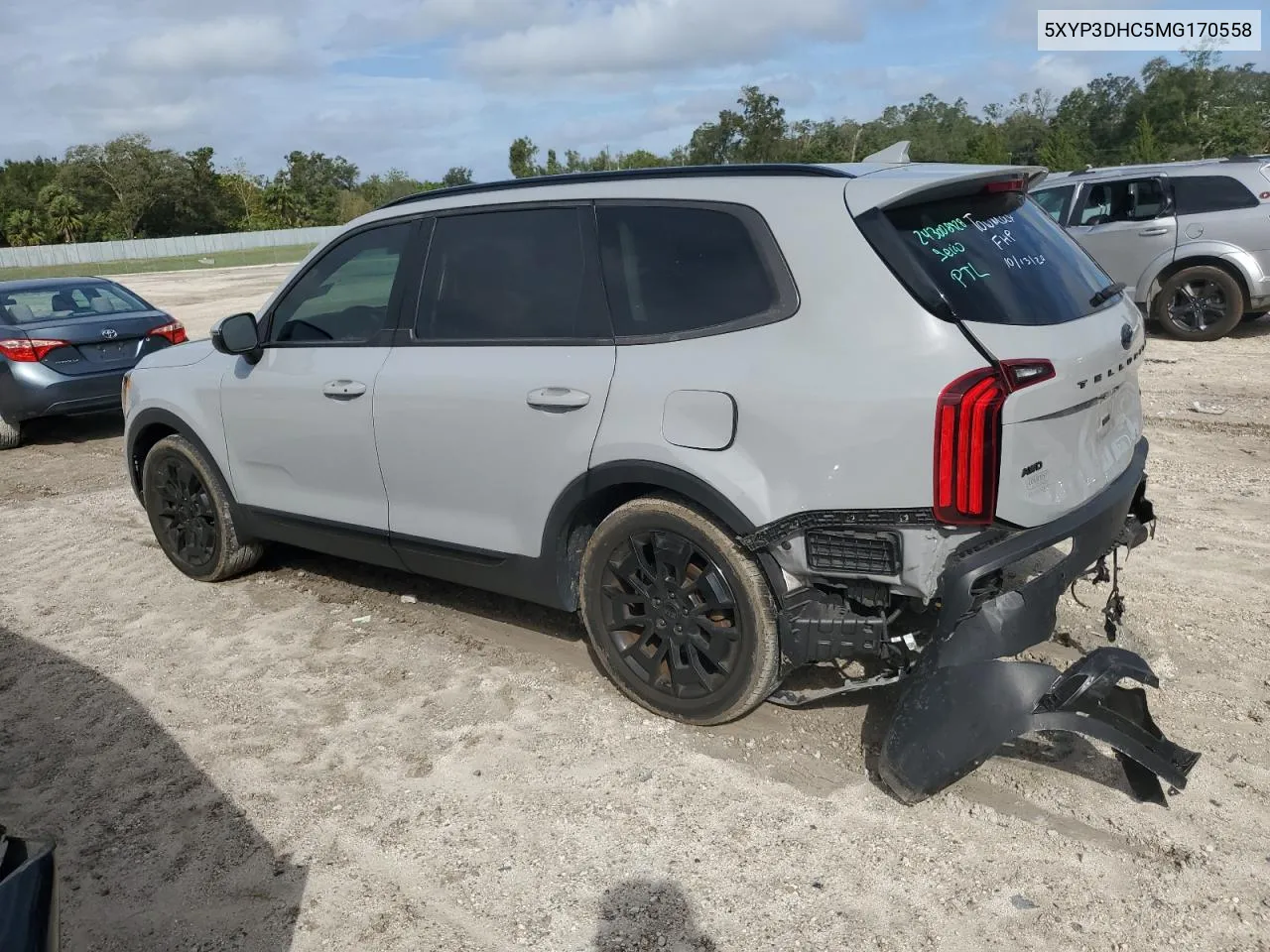 2021 Kia Telluride Ex VIN: 5XYP3DHC5MG170558 Lot: 78985864