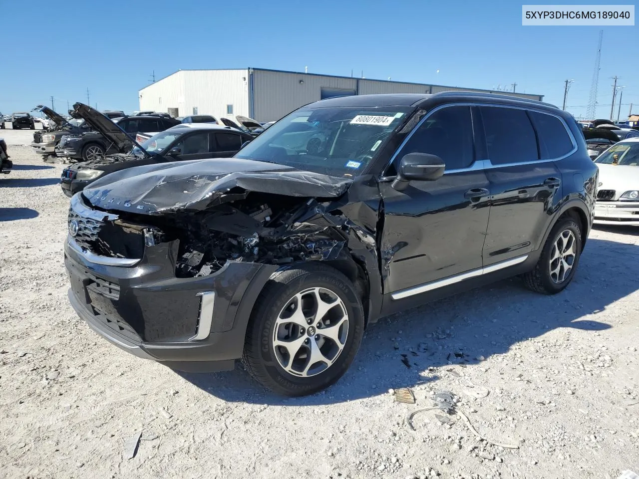 2021 Kia Telluride Ex VIN: 5XYP3DHC6MG189040 Lot: 80801904