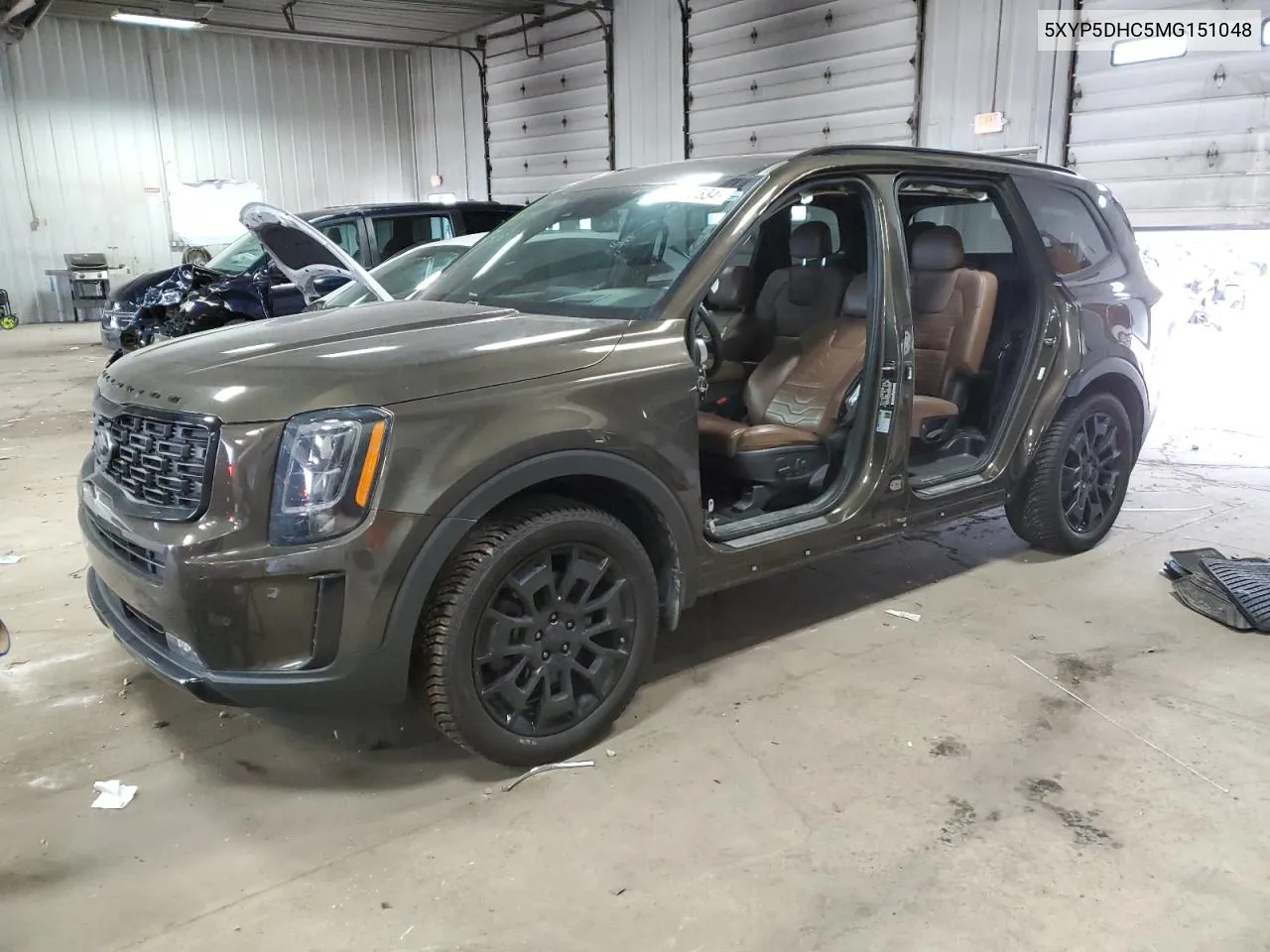 2021 Kia Telluride Sx VIN: 5XYP5DHC5MG151048 Lot: 80976534