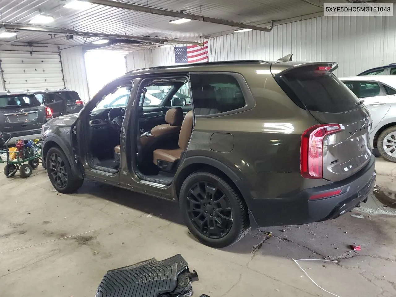 2021 Kia Telluride Sx VIN: 5XYP5DHC5MG151048 Lot: 80976534