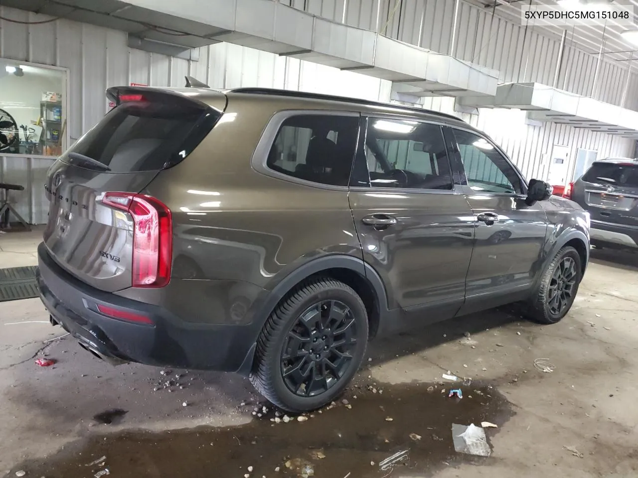 2021 Kia Telluride Sx VIN: 5XYP5DHC5MG151048 Lot: 80976534