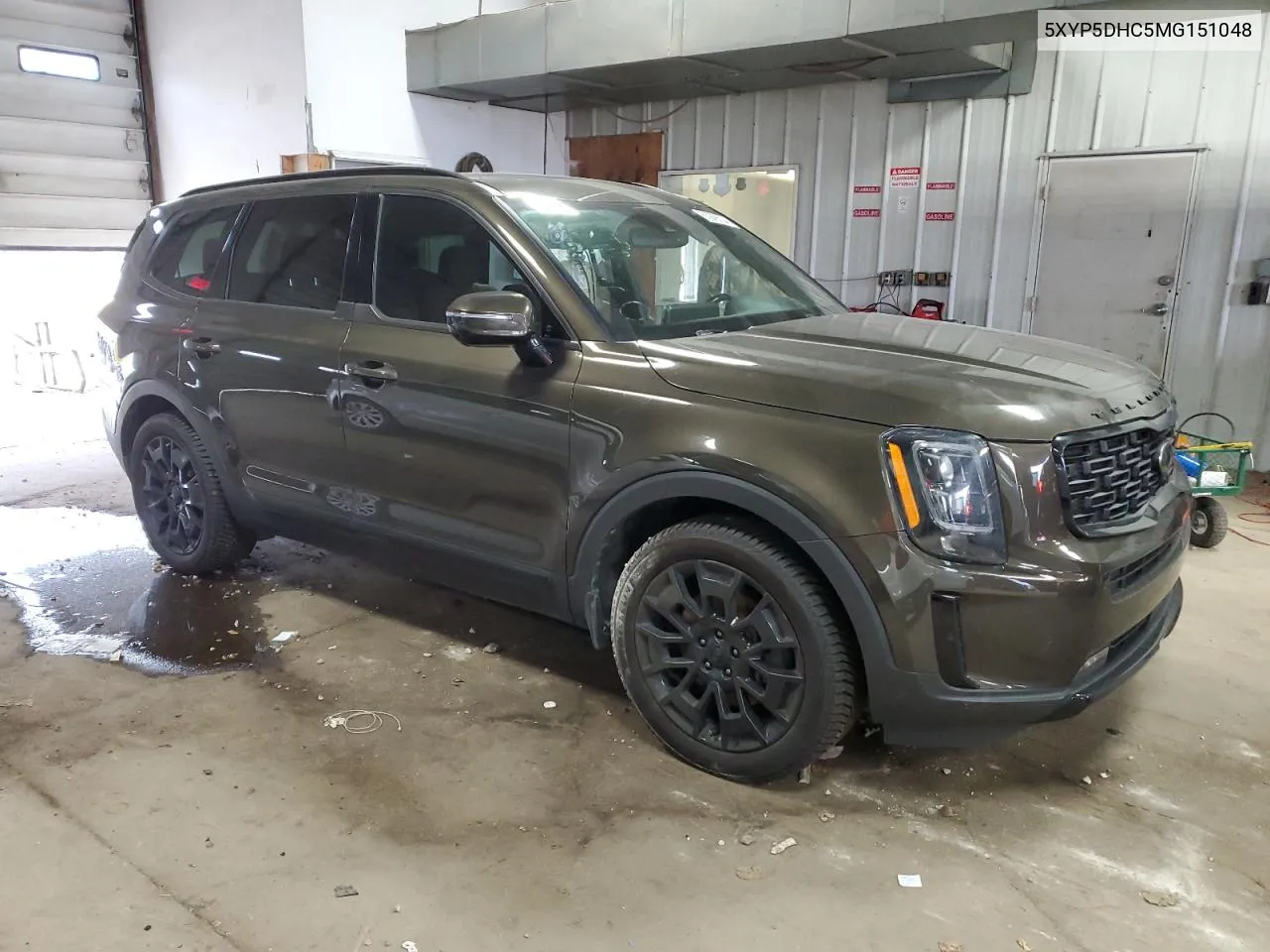 2021 Kia Telluride Sx VIN: 5XYP5DHC5MG151048 Lot: 80976534