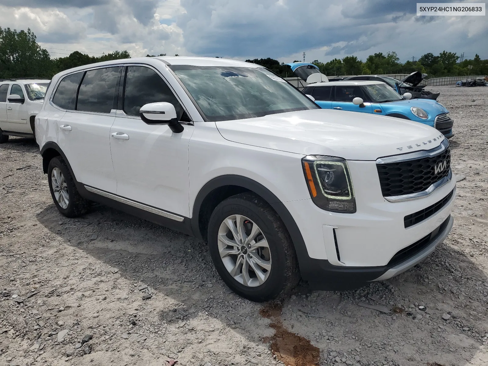 2022 Kia Telluride Lx VIN: 5XYP24HC1NG206833 Lot: 64251754