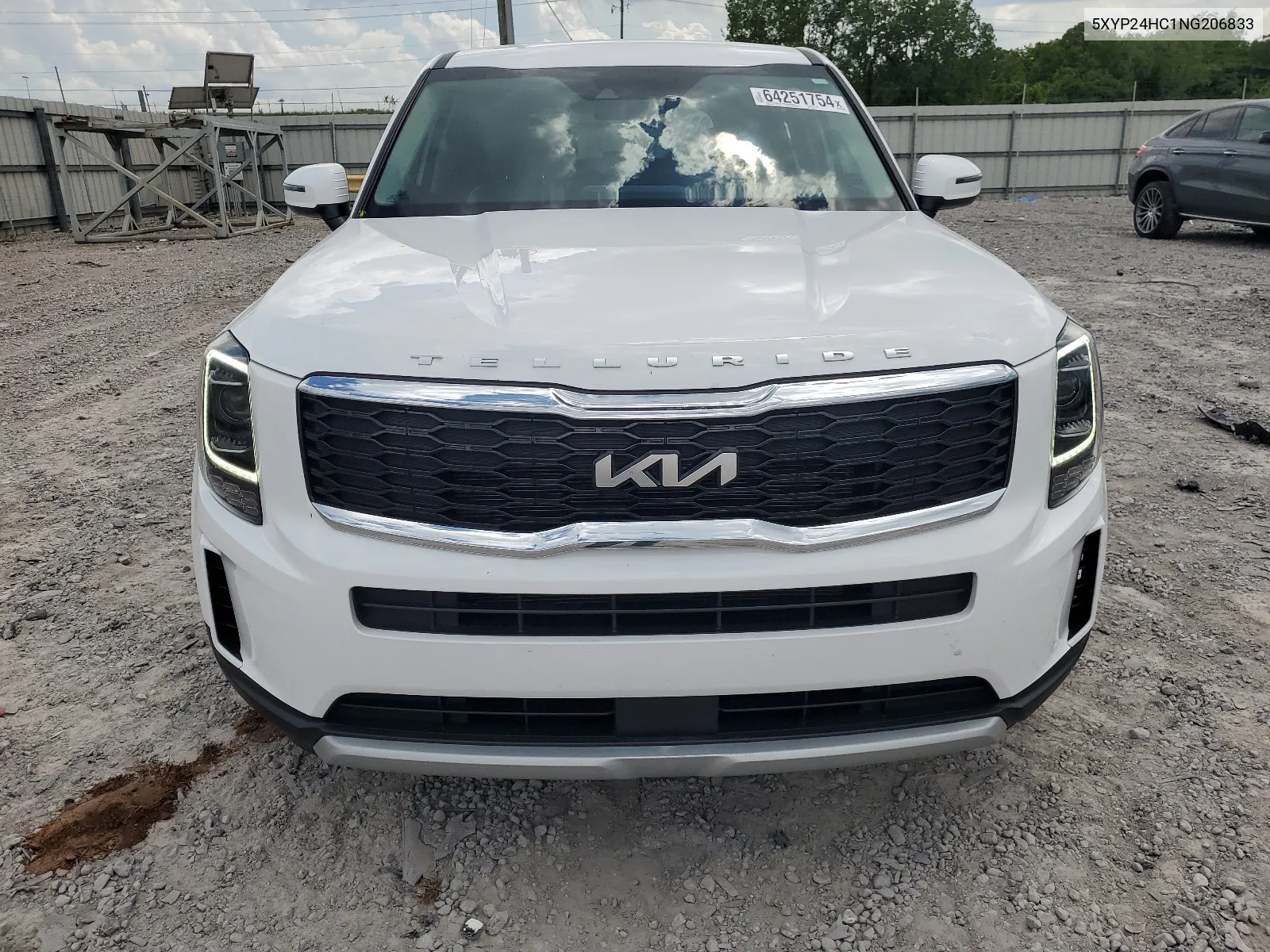 2022 Kia Telluride Lx VIN: 5XYP24HC1NG206833 Lot: 64251754