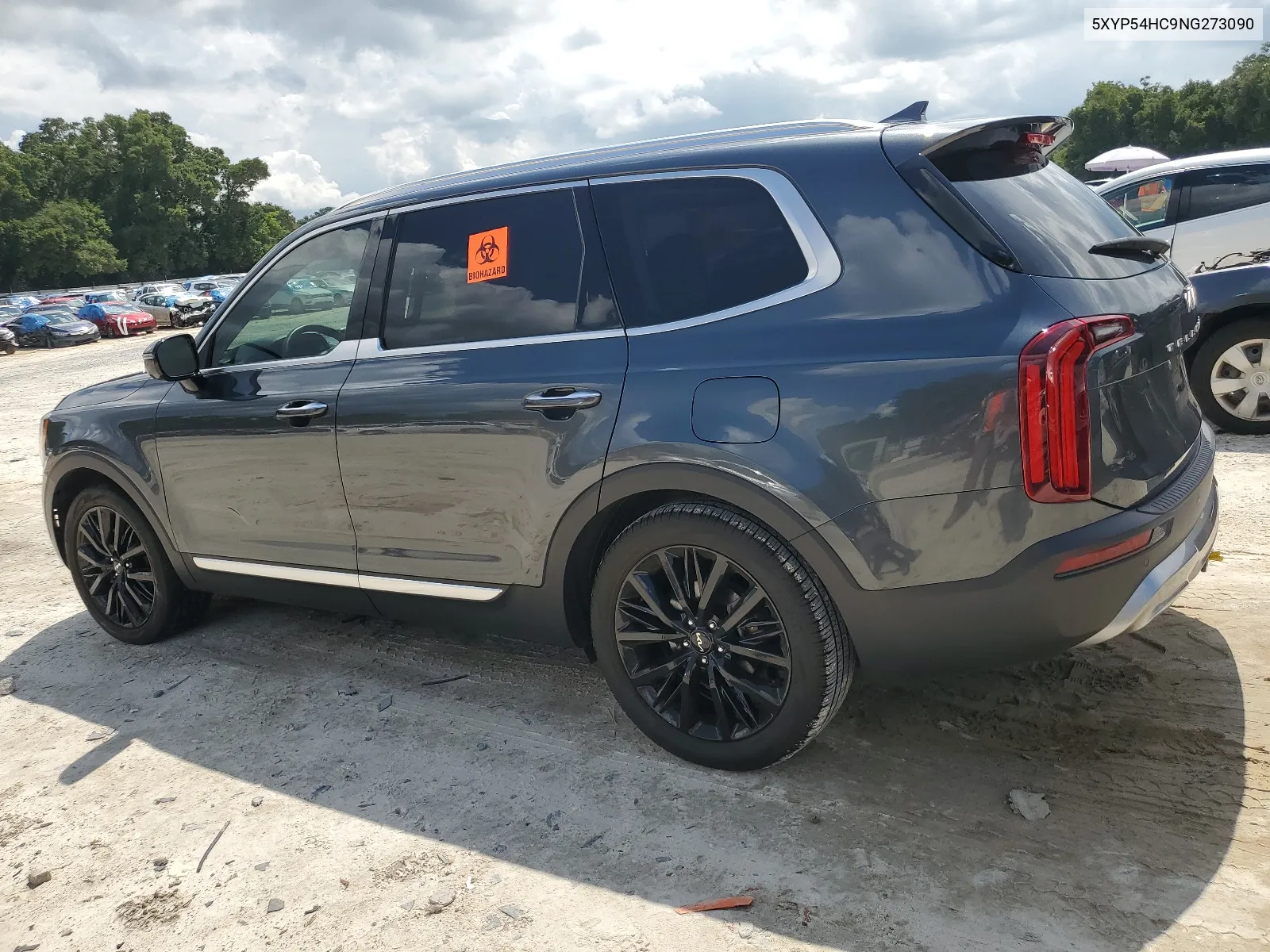 2022 Kia Telluride Sx VIN: 5XYP54HC9NG273090 Lot: 65237354