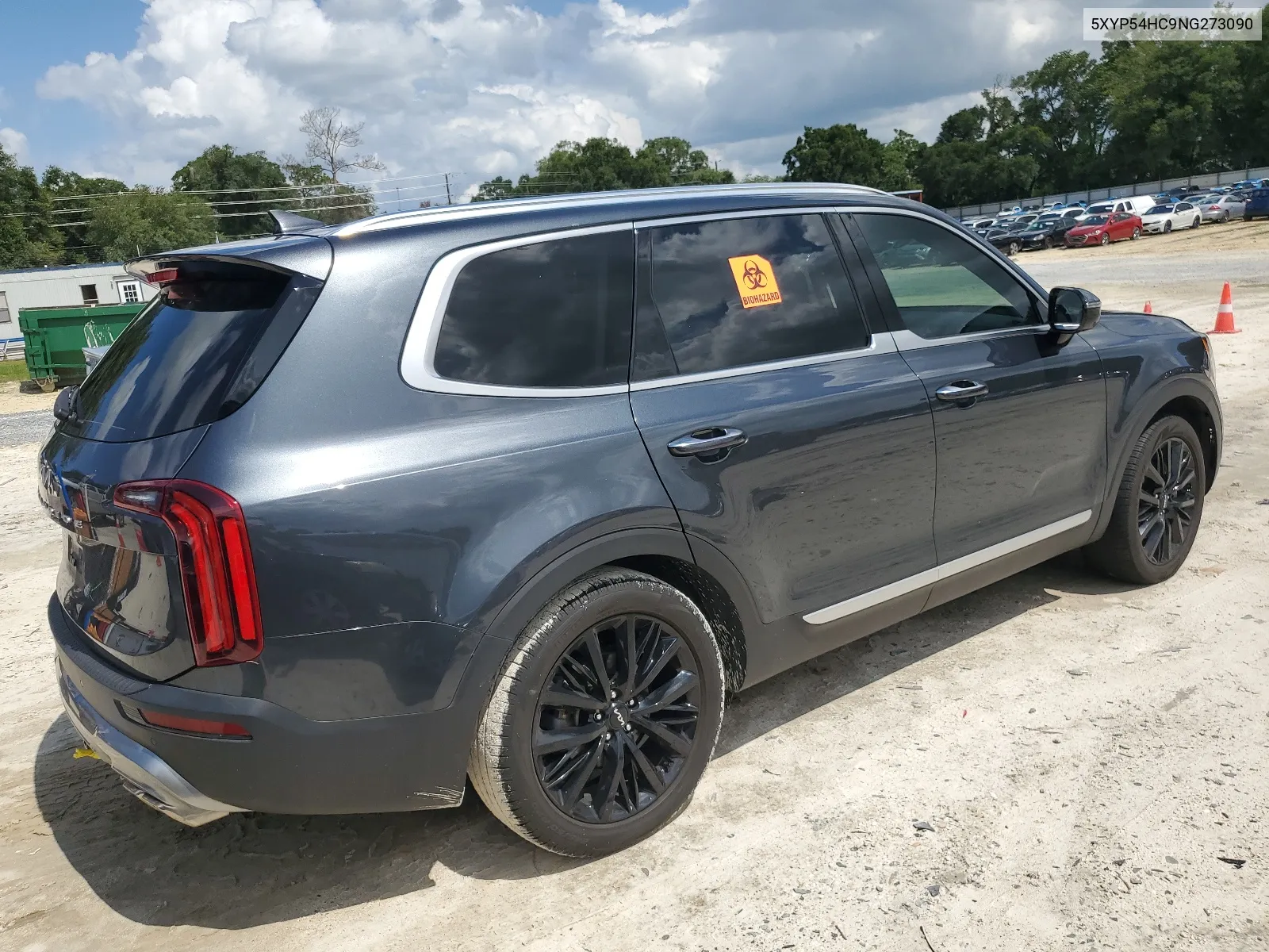 2022 Kia Telluride Sx VIN: 5XYP54HC9NG273090 Lot: 65237354