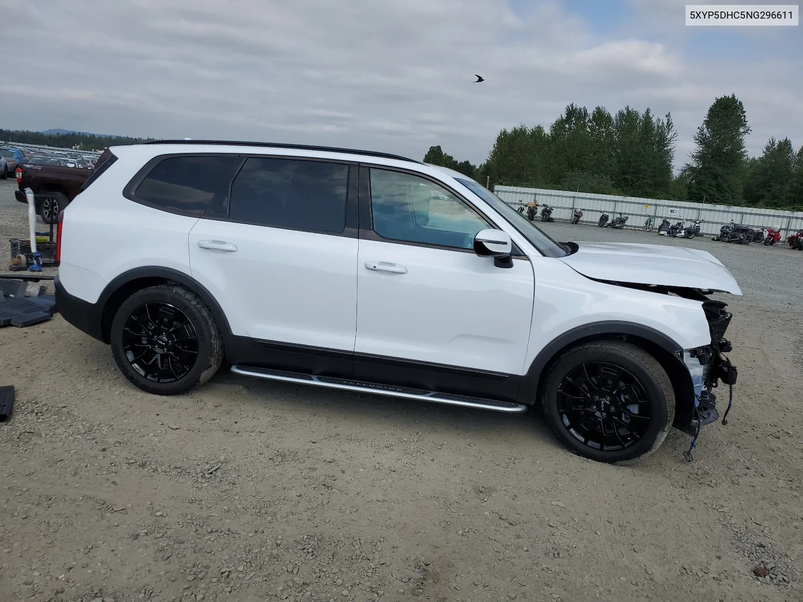 2022 Kia Telluride Sx VIN: 5XYP5DHC5NG296611 Lot: 66017354