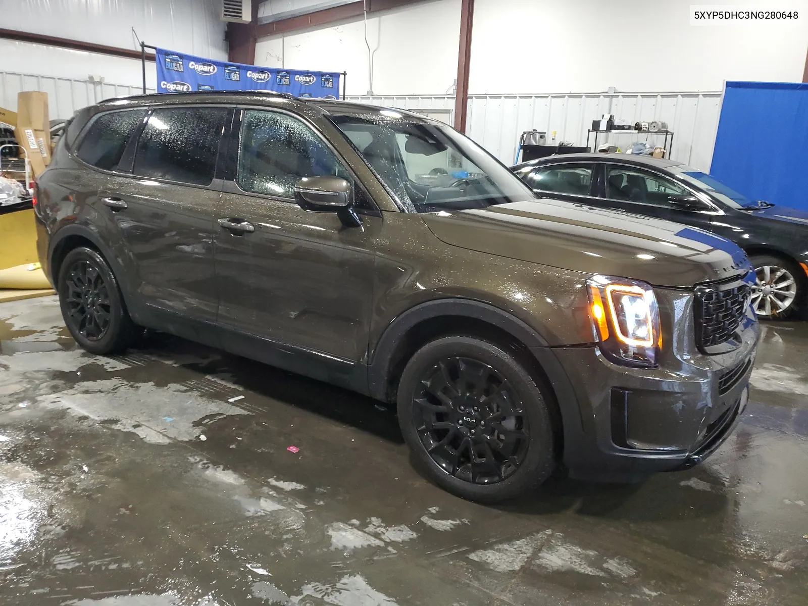 2022 Kia Telluride Sx VIN: 5XYP5DHC3NG280648 Lot: 66354514