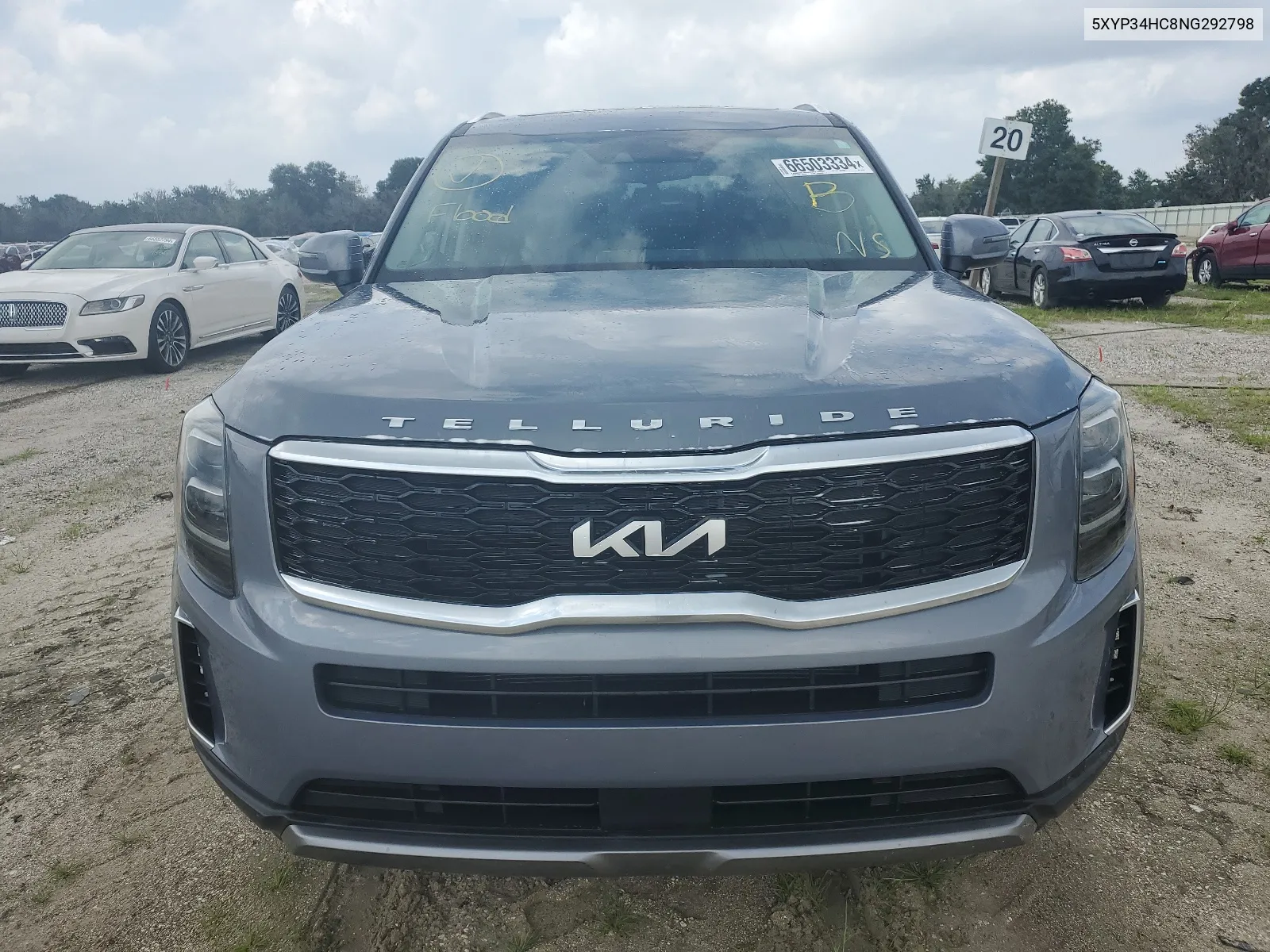 2022 Kia Telluride Ex VIN: 5XYP34HC8NG292798 Lot: 66503334