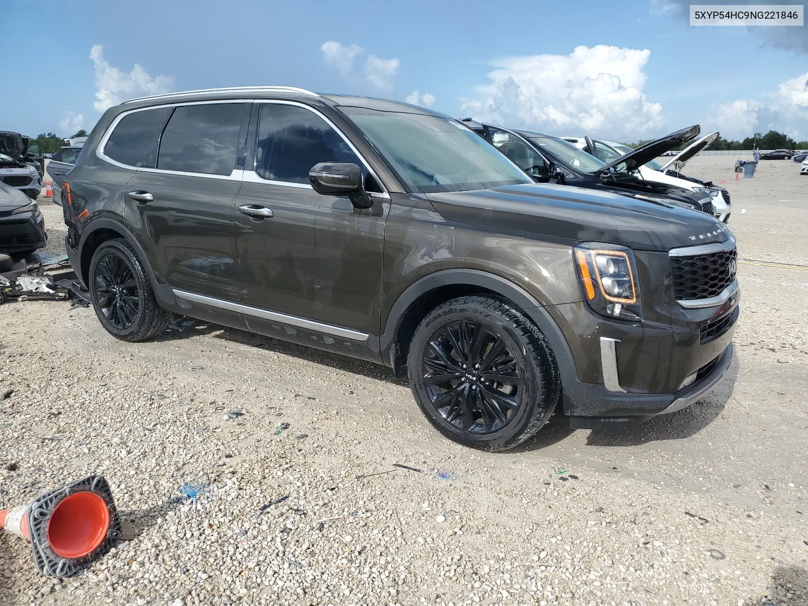 2022 Kia Telluride Sx VIN: 5XYP54HC9NG221846 Lot: 66777714