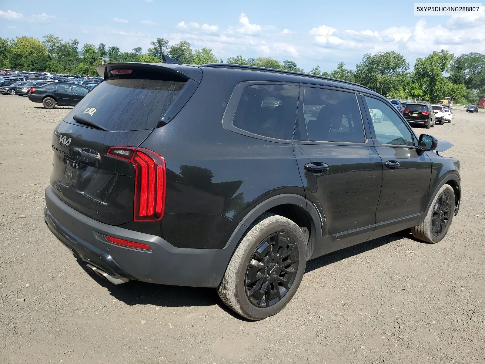 2022 Kia Telluride Sx VIN: 5XYP5DHC4NG288807 Lot: 67054614