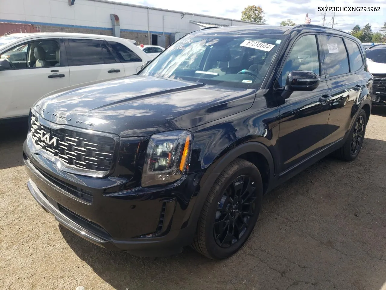 2022 Kia Telluride Ex VIN: 5XYP3DHCXNG295962 Lot: 67238664