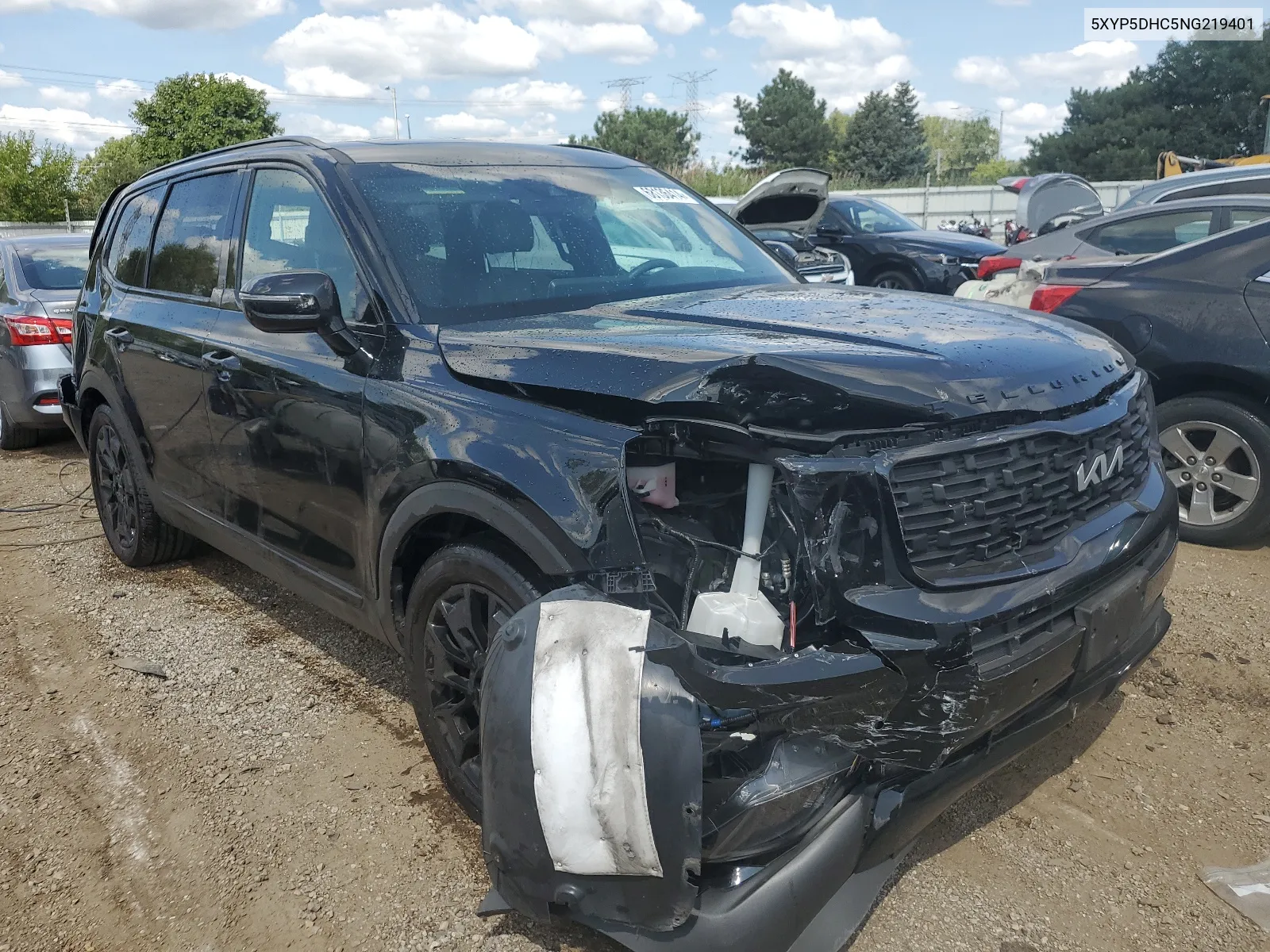 2022 Kia Telluride Sx VIN: 5XYP5DHC5NG219401 Lot: 68136414