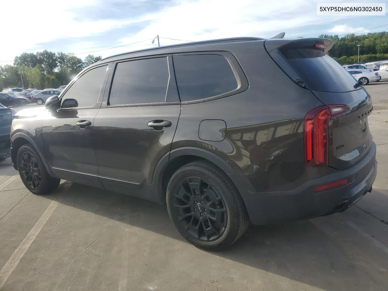 2022 Kia Telluride Sx VIN: 5XYP5DHC6NG302450 Lot: 69631194