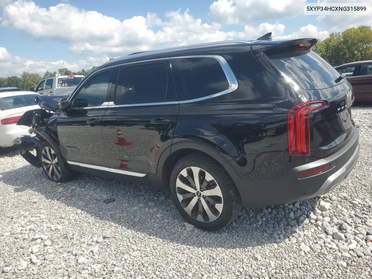 2022 Kia Telluride Ex VIN: 5XYP34HCXNG315899 Lot: 70394654