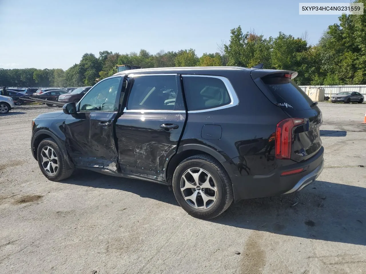 2022 Kia Telluride Ex VIN: 5XYP34HC4NG231559 Lot: 70697484