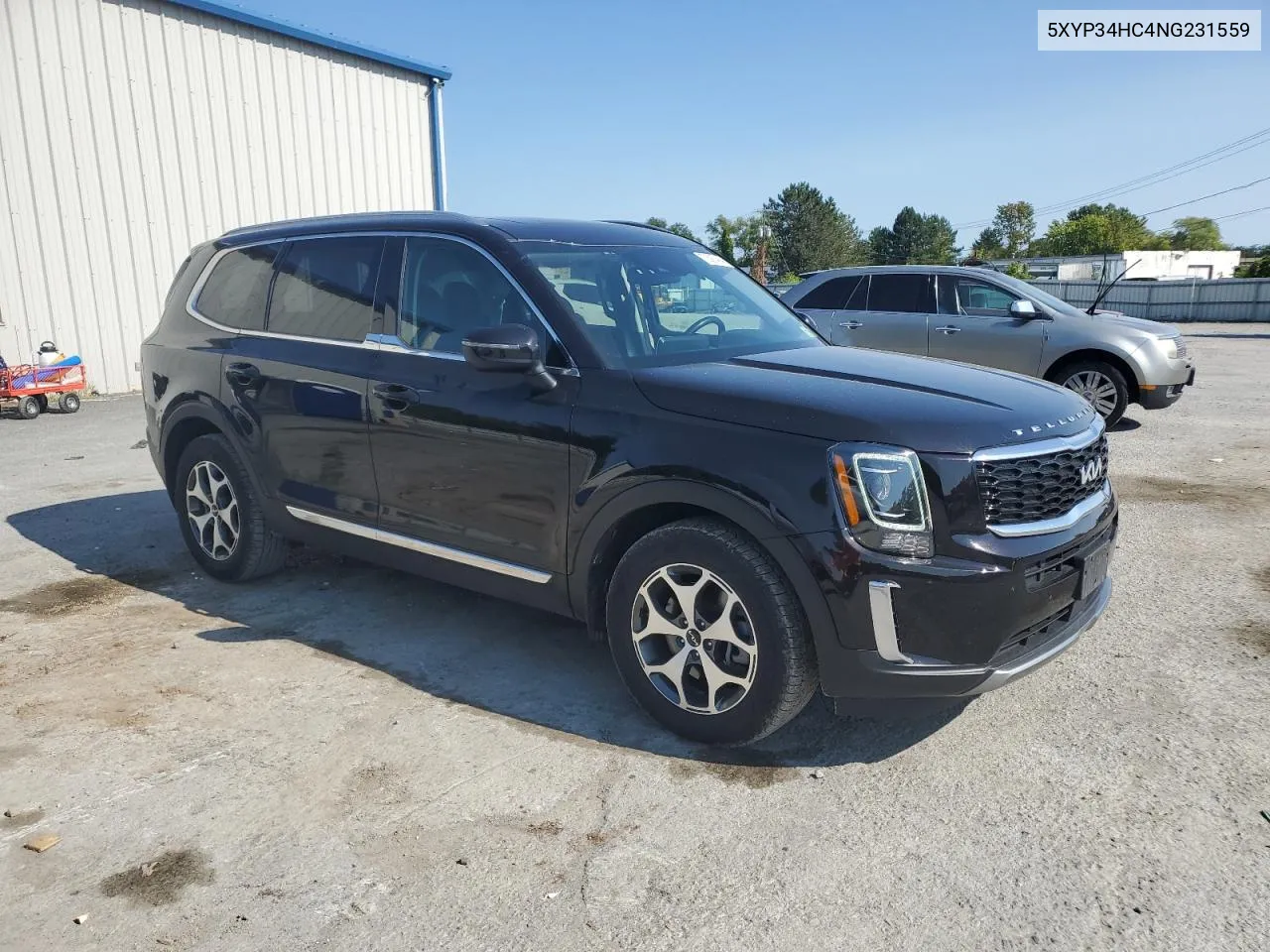 2022 Kia Telluride Ex VIN: 5XYP34HC4NG231559 Lot: 70697484