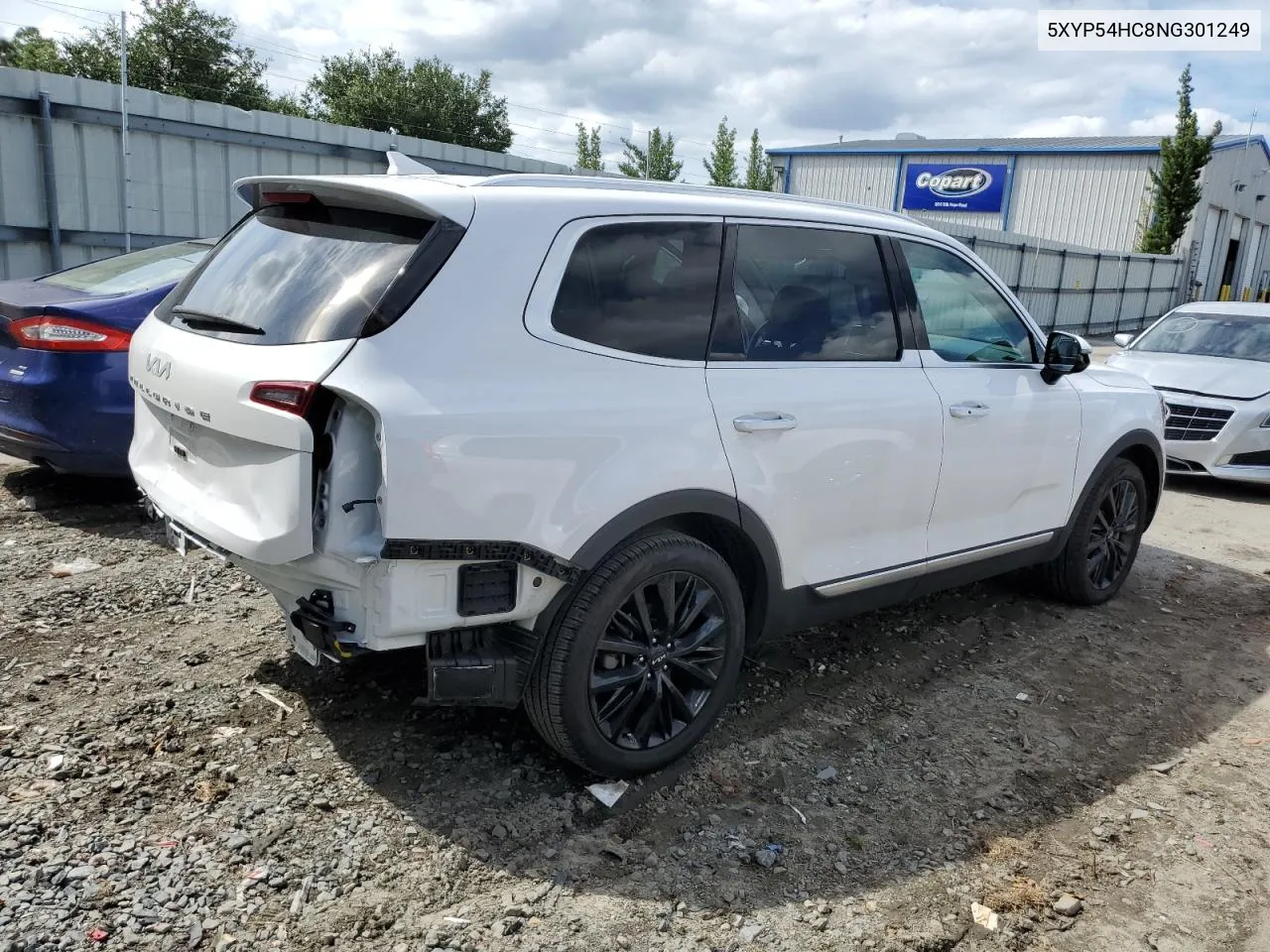 2022 Kia Telluride Sx VIN: 5XYP54HC8NG301249 Lot: 71008894