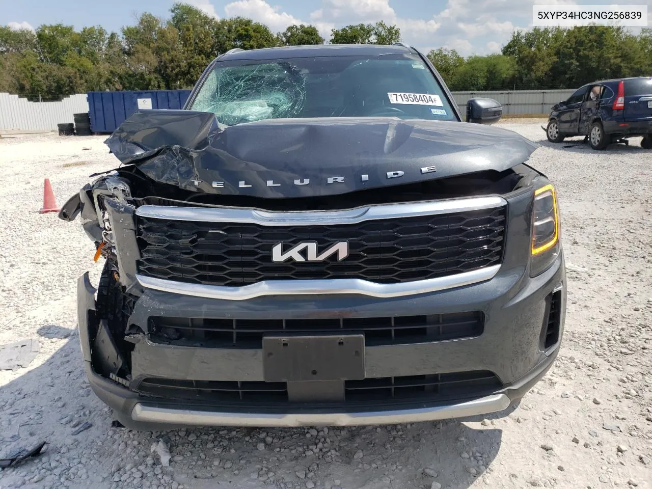 2022 Kia Telluride Ex VIN: 5XYP34HC3NG256839 Lot: 71958404