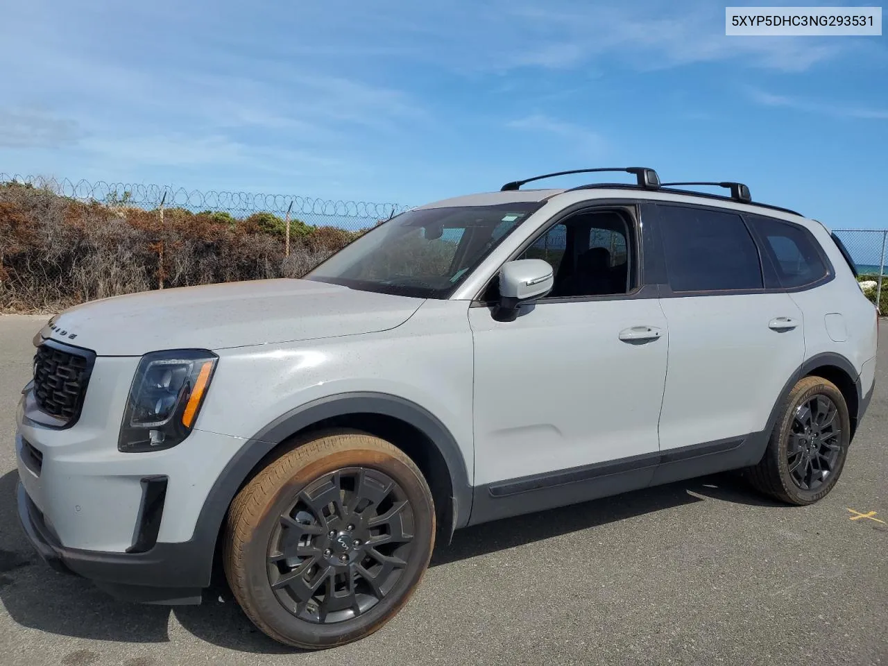 2022 Kia Telluride Sx VIN: 5XYP5DHC3NG293531 Lot: 72048954