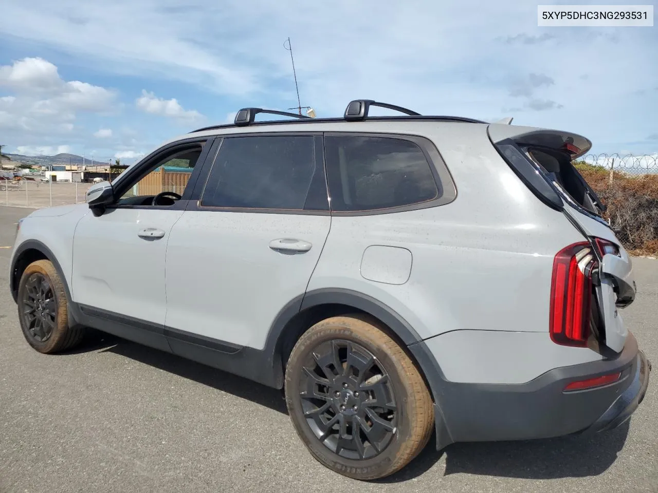 2022 Kia Telluride Sx VIN: 5XYP5DHC3NG293531 Lot: 72048954